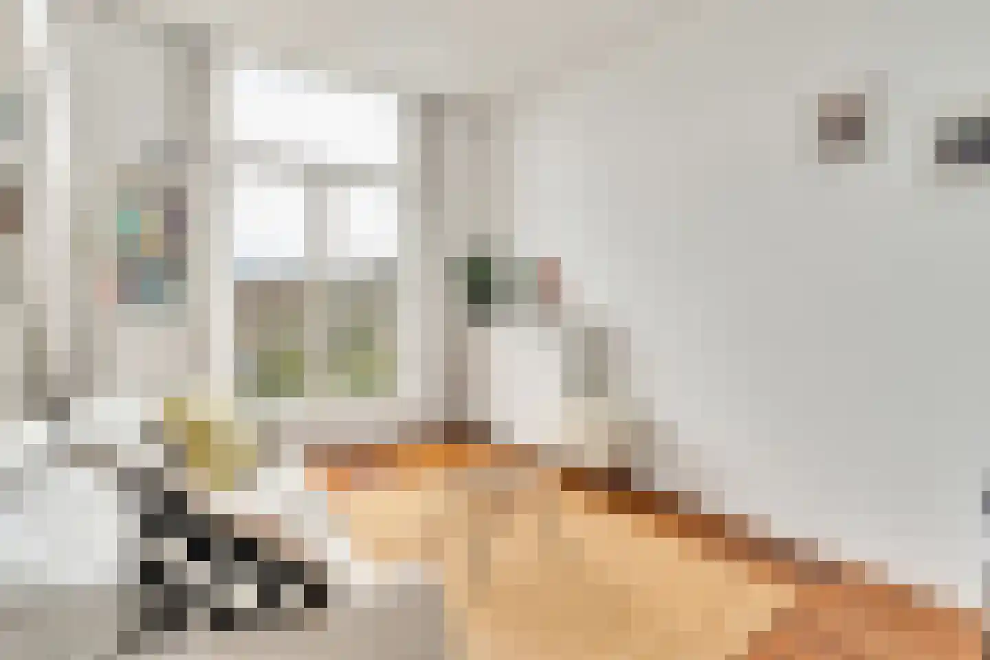 Mauritskade 45 E Den Haag thumbnail 14