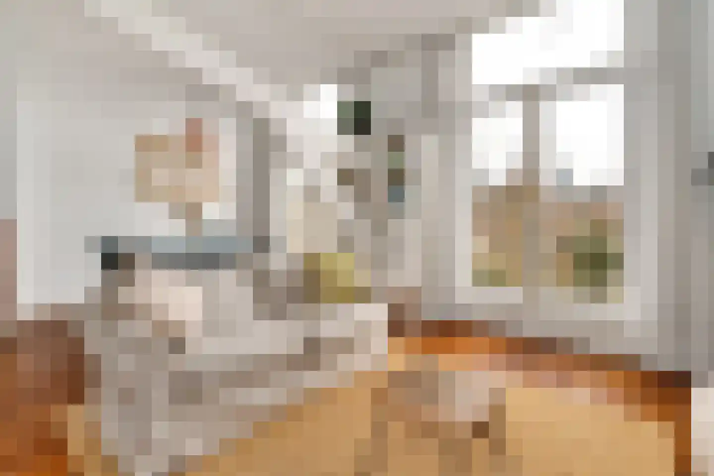 Mauritskade 45 E Den Haag thumbnail 16