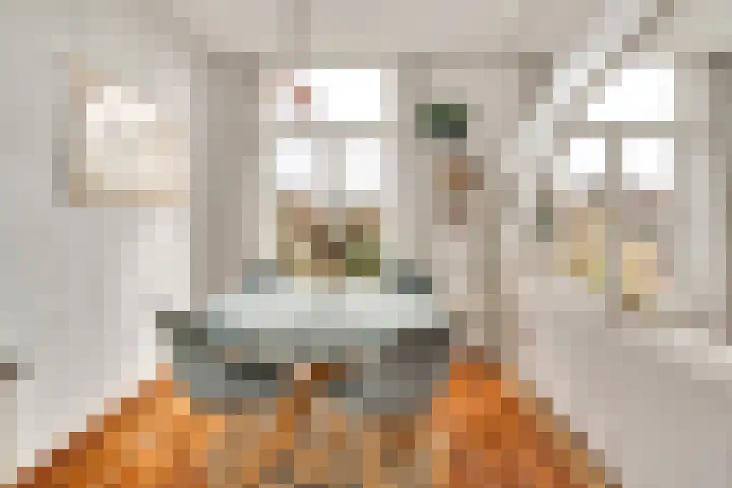 Mauritskade 45 E Den Haag thumbnail 18
