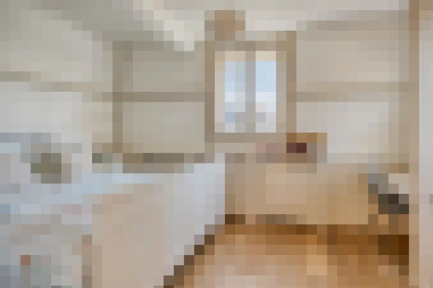 Mauritskade 59 Den Haag thumbnail 37