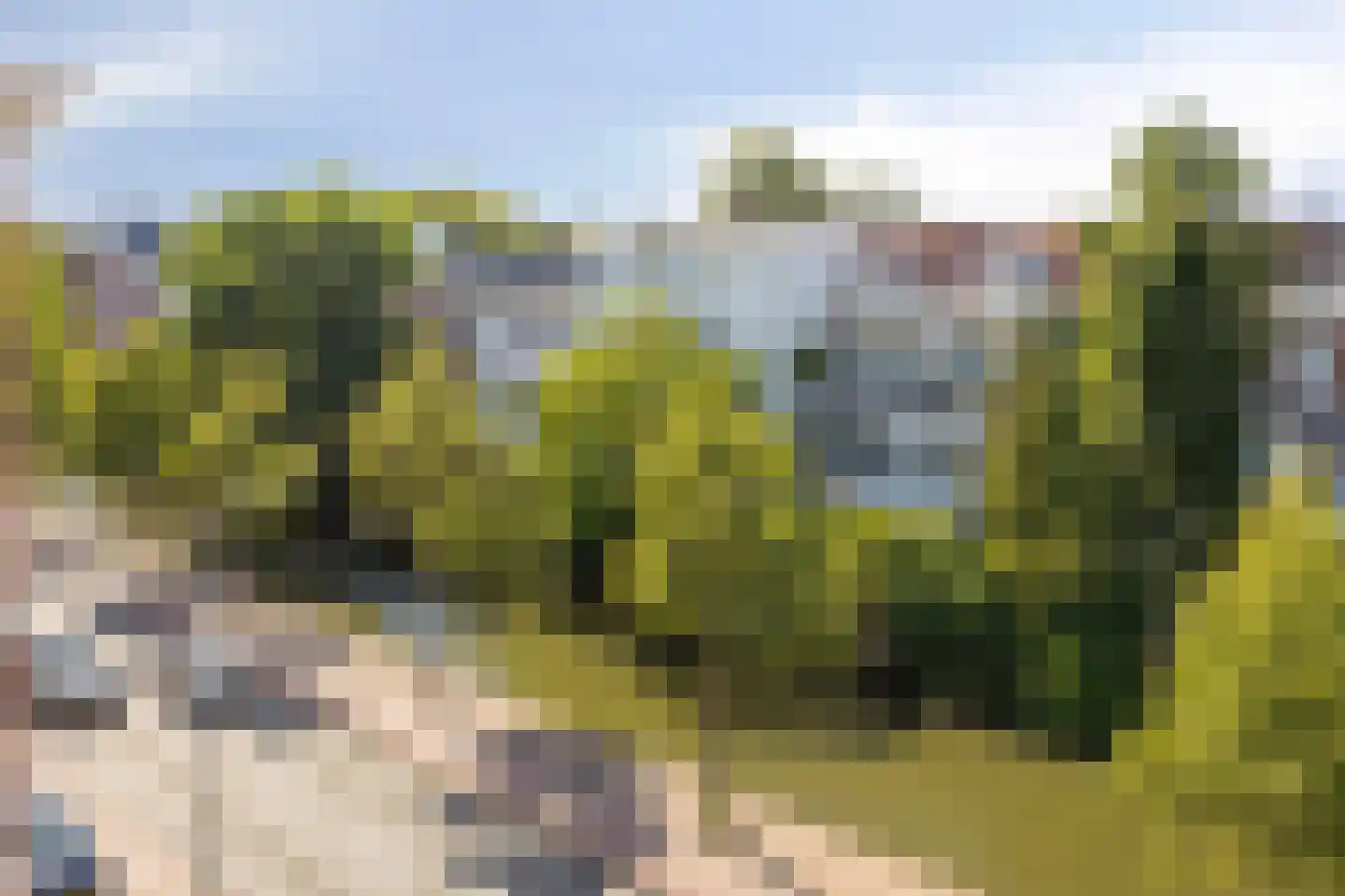 Mauritskade 59 Den Haag thumbnail 48