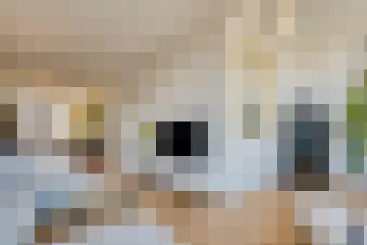 Mauritskade 99 H Amsterdam thumbnail 7