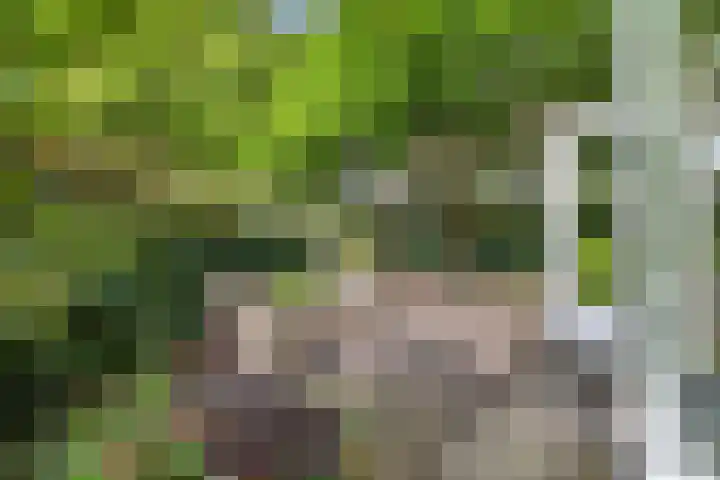 Mauritslaan 1 Rijswijk thumbnail 12