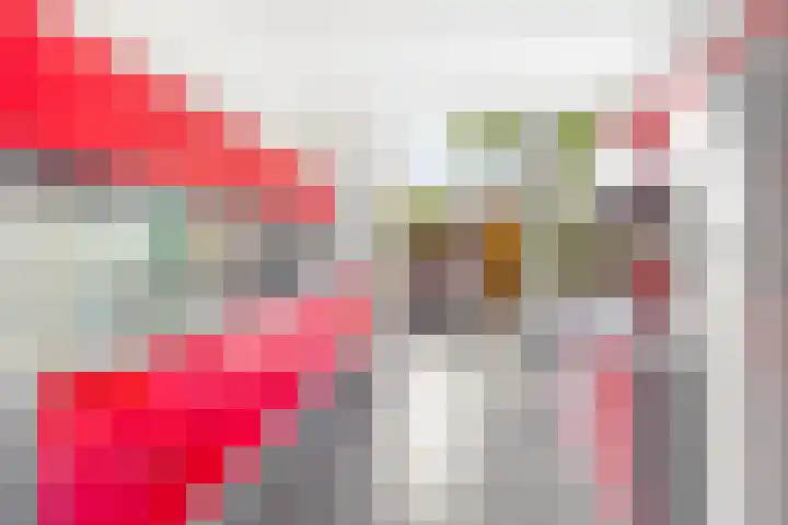 Mauritslaan 1 Rijswijk thumbnail 20