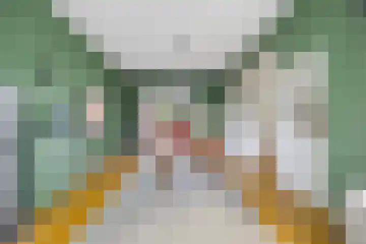 Mauritslaan 1 Rijswijk thumbnail 22