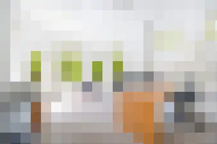 Mauritslaan 1 Rijswijk thumbnail 33