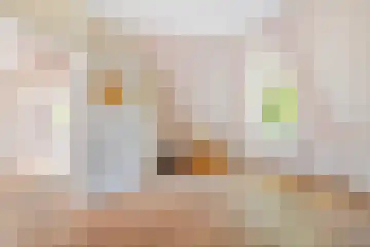 Mauritslaan 1 Rijswijk thumbnail 41