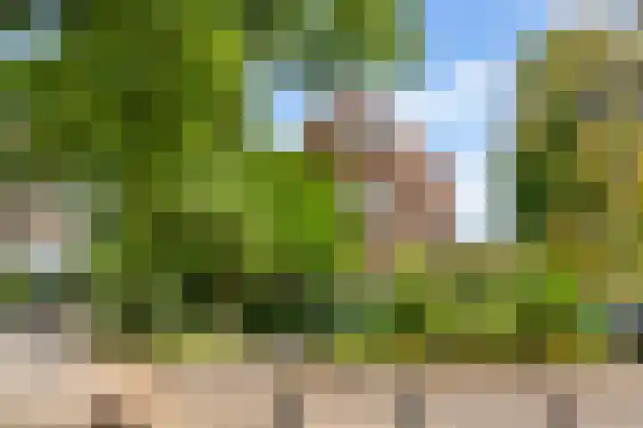 Mauritslaan 1 Rijswijk thumbnail 46