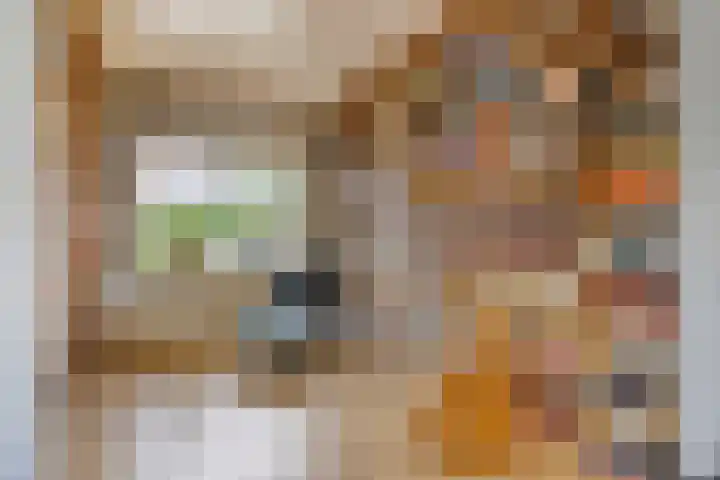Mauritslaan 10 Dodewaard thumbnail 11