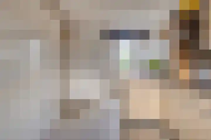 Mauritslaan 10 Dodewaard thumbnail 25