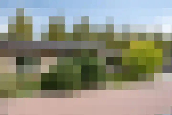 Mauritslaan 10 Dodewaard thumbnail 28