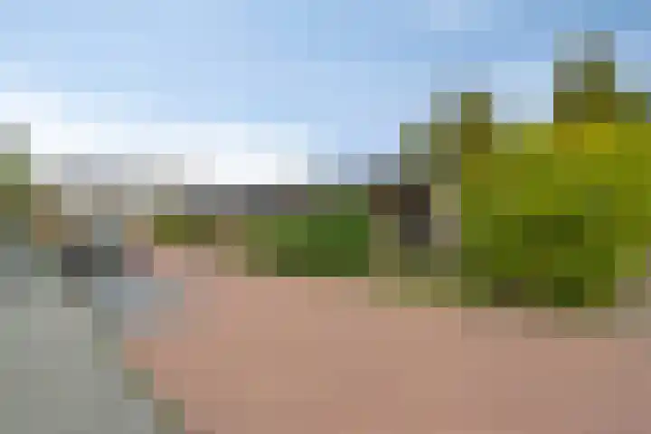 Mauritslaan 10 Dodewaard thumbnail 30