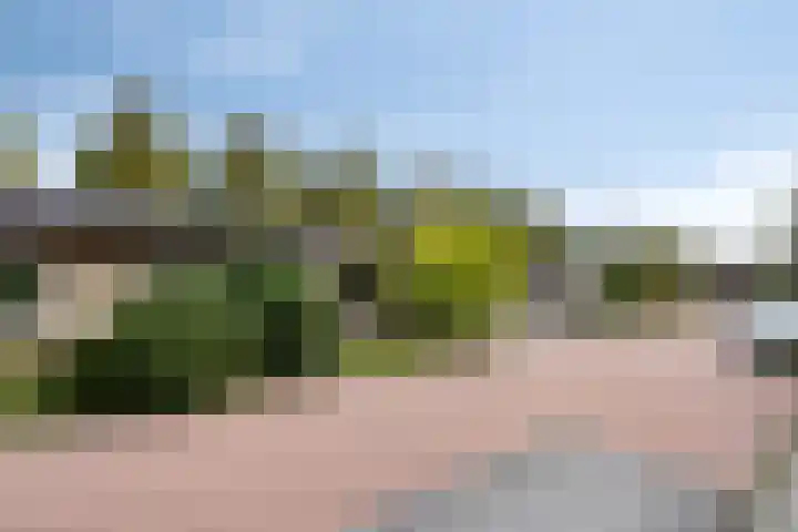 Mauritslaan 10 Dodewaard thumbnail 31