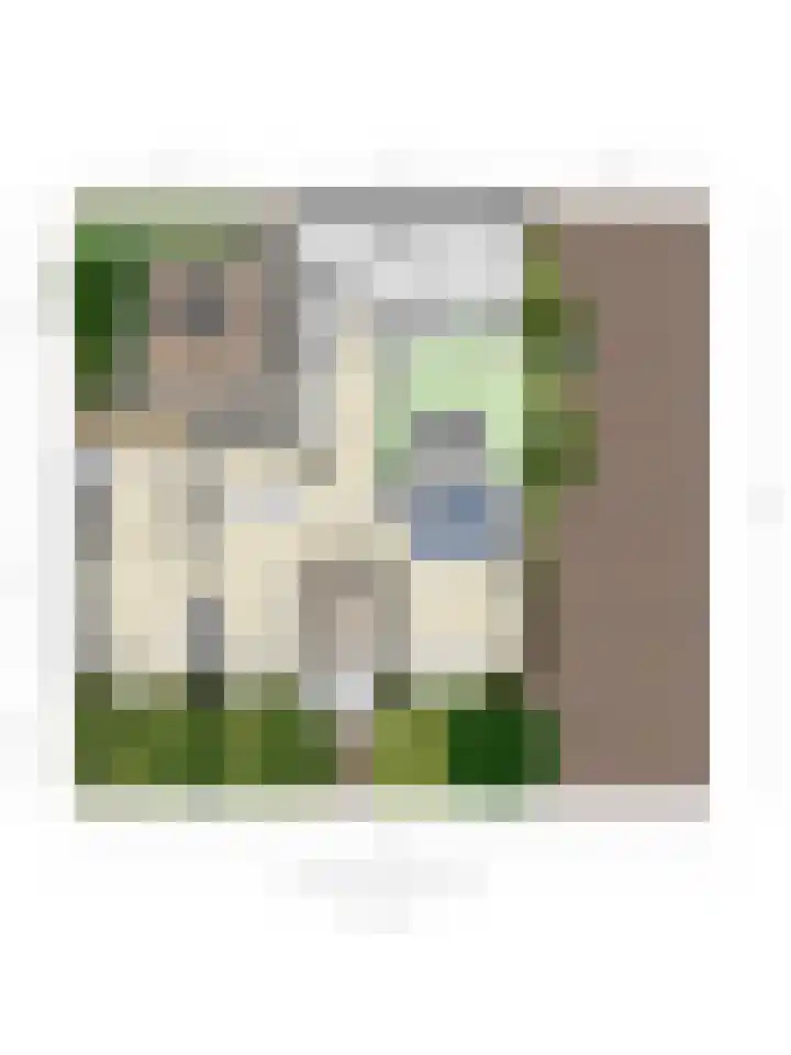 Mauritslaan 10 Dodewaard thumbnail 32