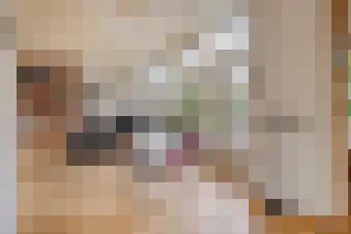 Mauritslaan 10 Dodewaard thumbnail 4