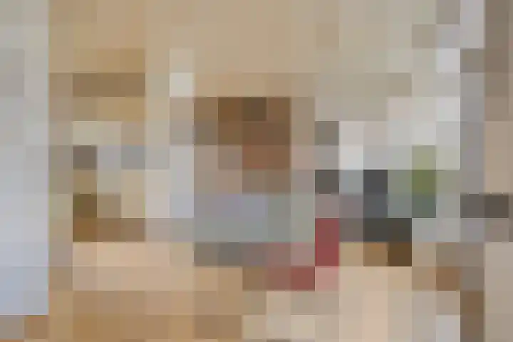 Mauritslaan 10 Dodewaard thumbnail 5