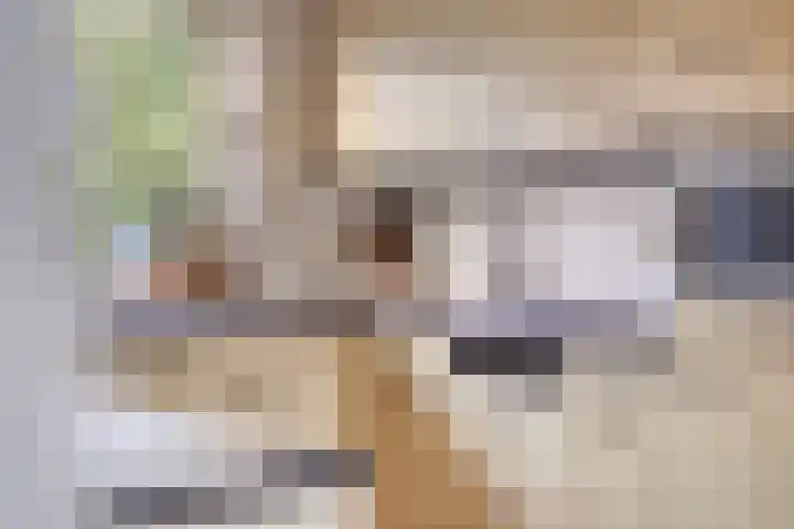 Mauritslaan 10 Dodewaard thumbnail 6