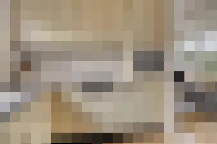 Mauritslaan 10 Dodewaard thumbnail 8