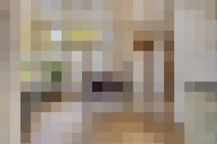 Mauritslaan 10 Dodewaard thumbnail 9