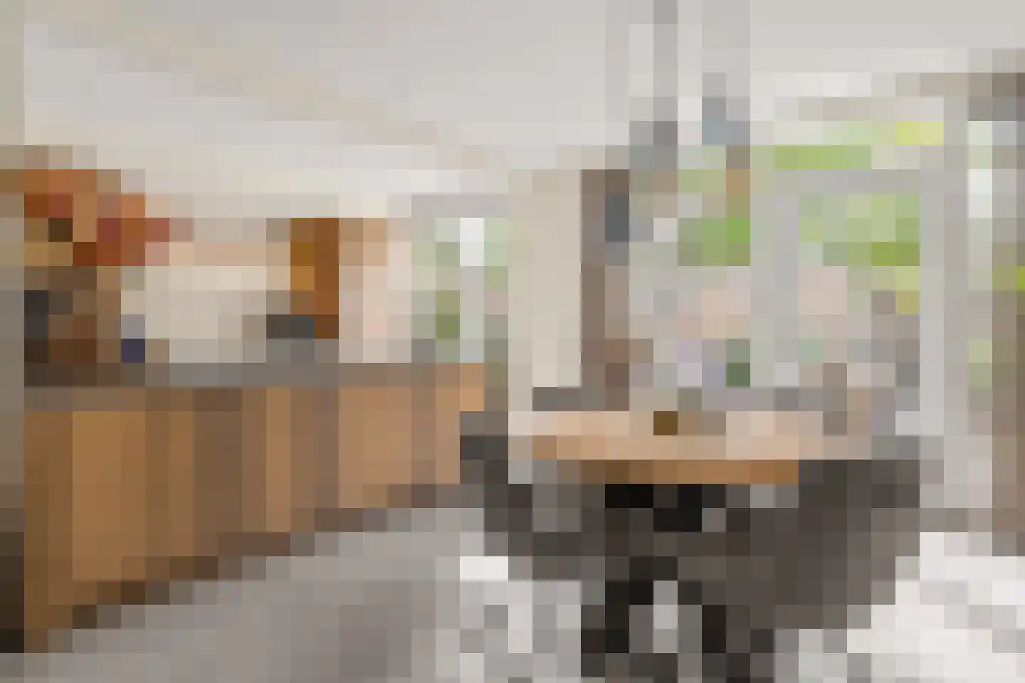 Mauritslaan 11 Hoevelaken thumbnail 11