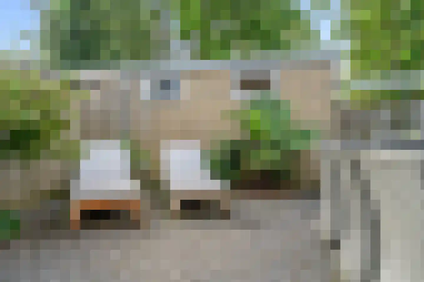 Mauritslaan 11 Hoevelaken thumbnail 31