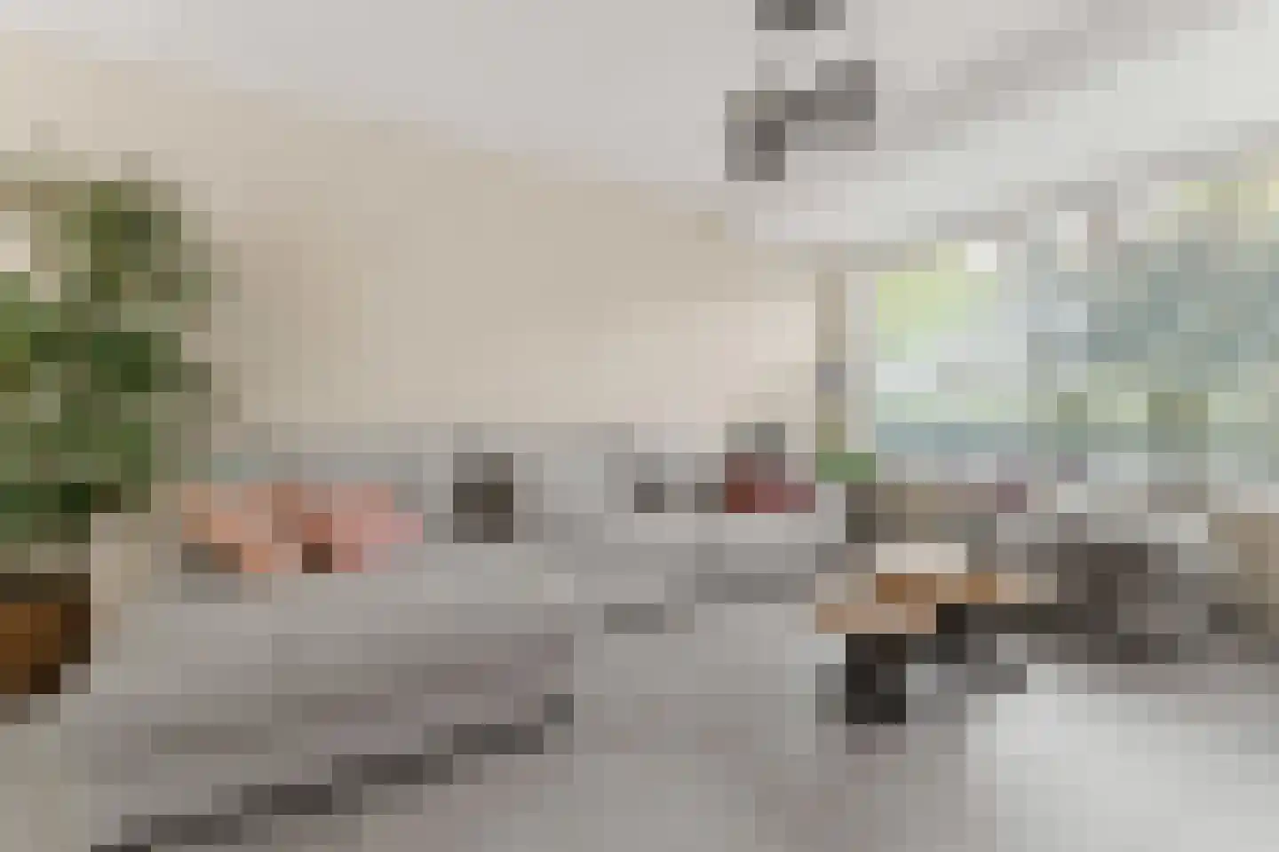 Mauritslaan 11 Hoevelaken thumbnail 9