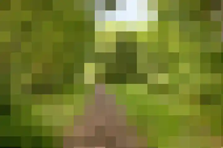 Mauritslaan 12 HS Amstelveen thumbnail 13