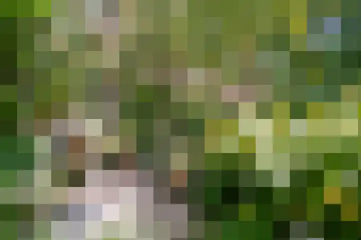 Mauritslaan 12 HS Amstelveen thumbnail 14