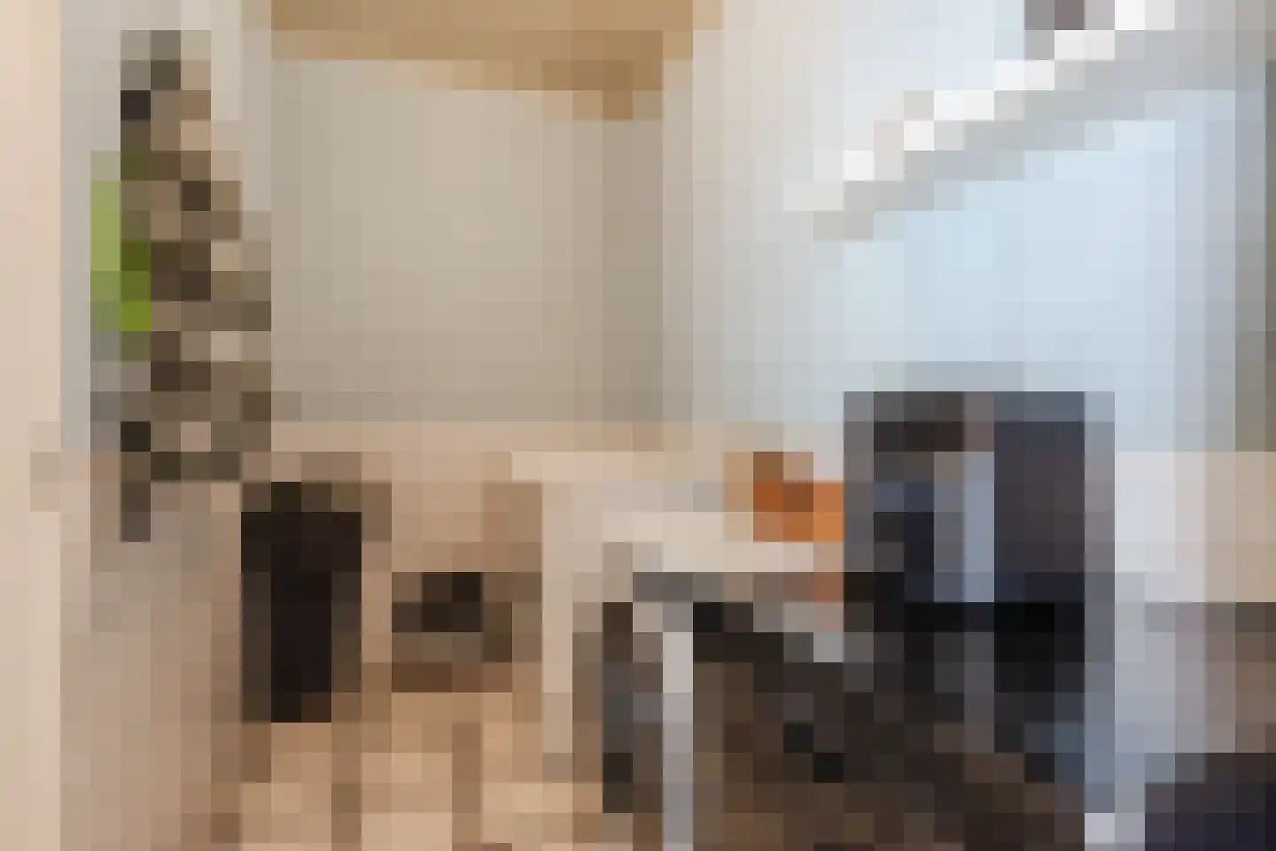 Mauritslaan 12 Ruurlo thumbnail 16
