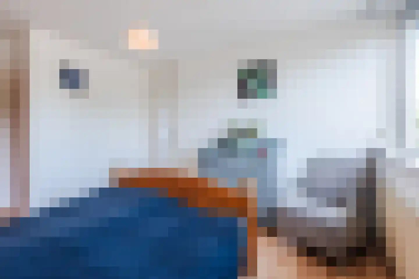 Mauritslaan 12 Ruurlo thumbnail 22