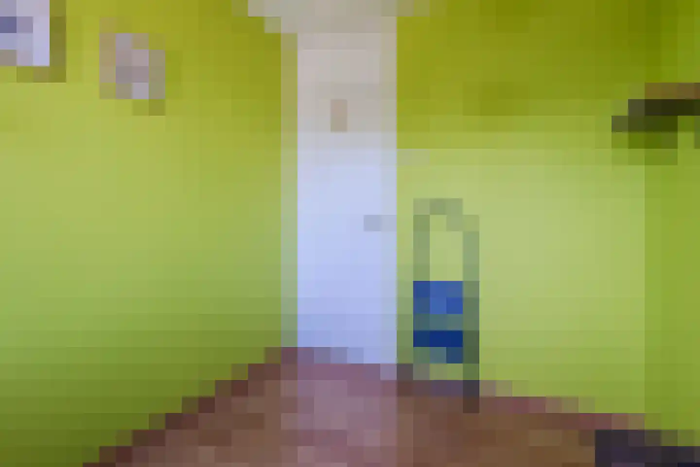 Mauritslaan 12 Ruurlo thumbnail 24