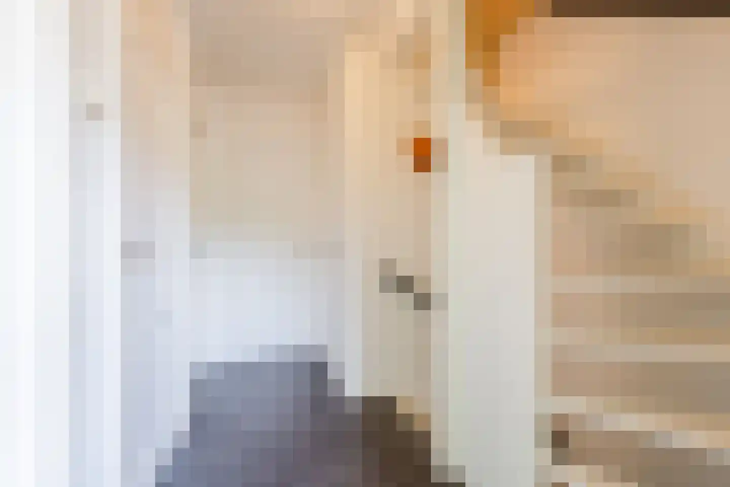 Mauritslaan 12 Ruurlo thumbnail 31