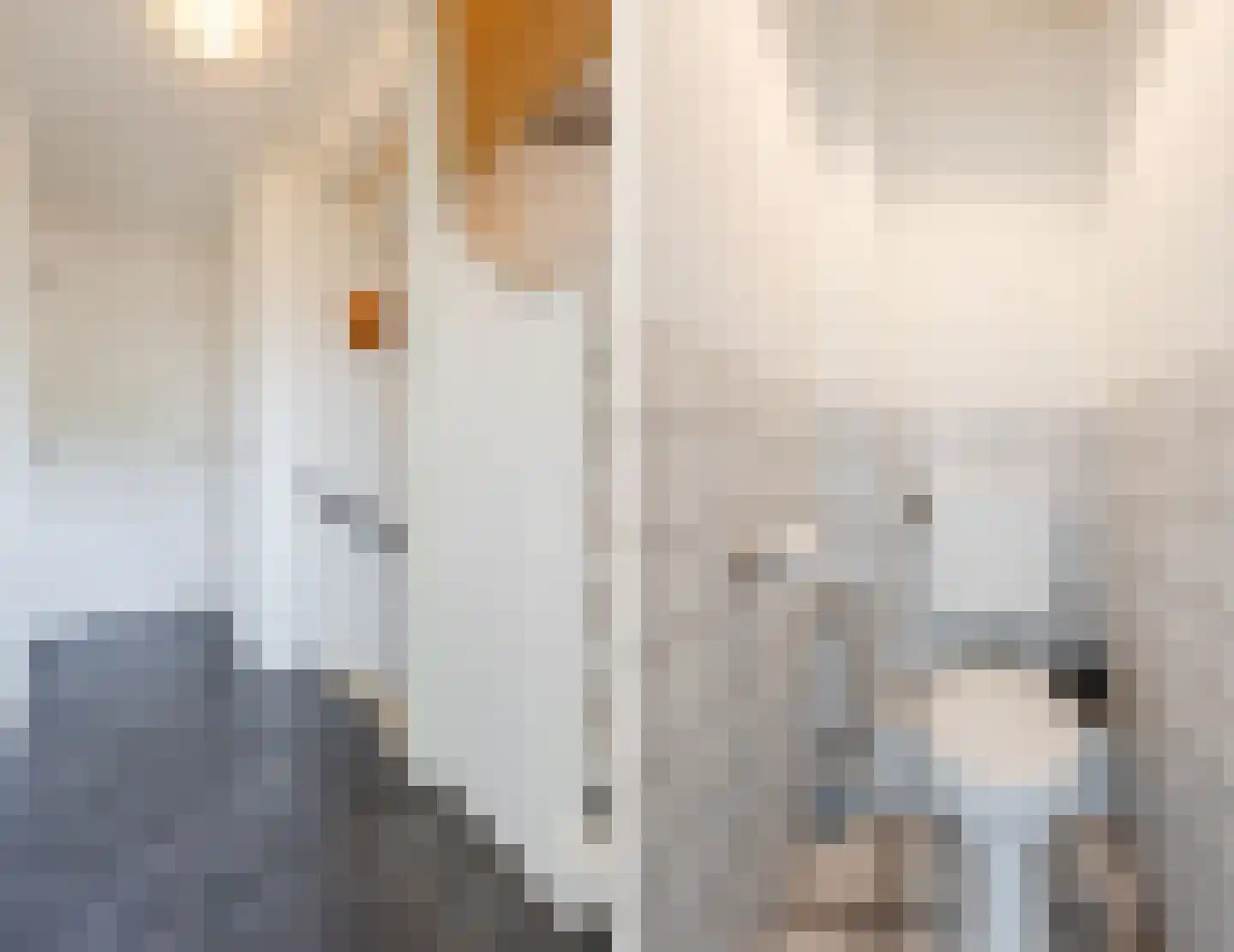 Mauritslaan 12 Ruurlo thumbnail 33