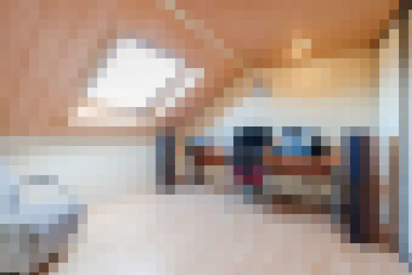Mauritslaan 12 Ruurlo thumbnail 36