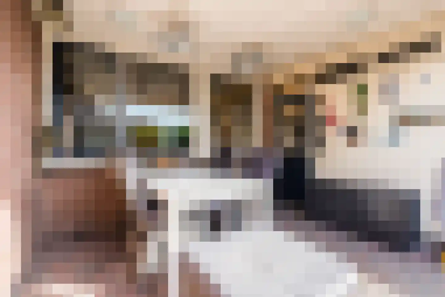 Mauritslaan 12 Ruurlo thumbnail 43