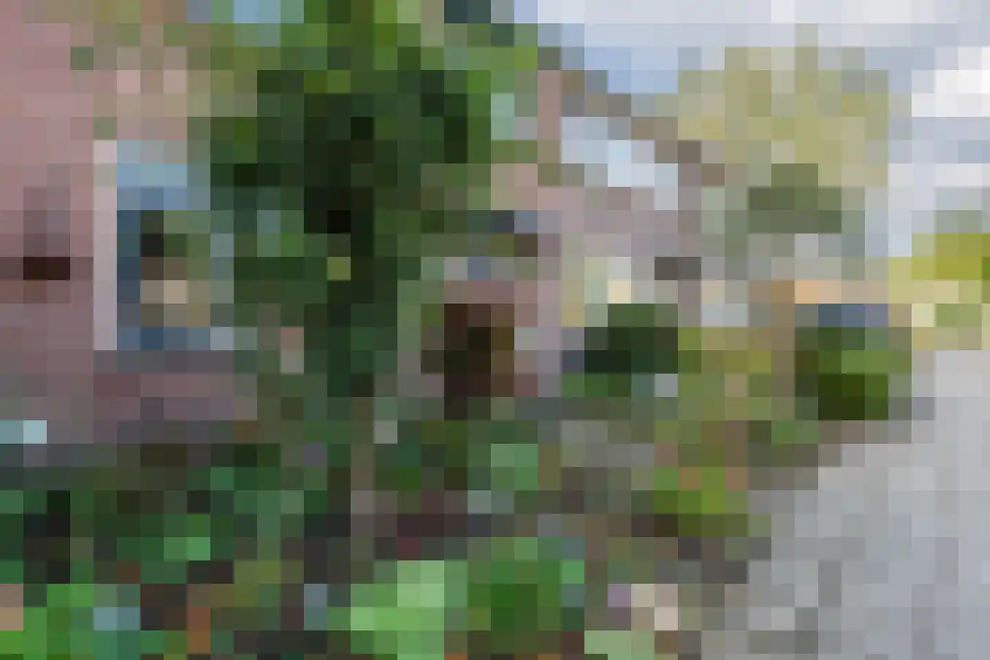 Mauritslaan 12 Ruurlo thumbnail 52