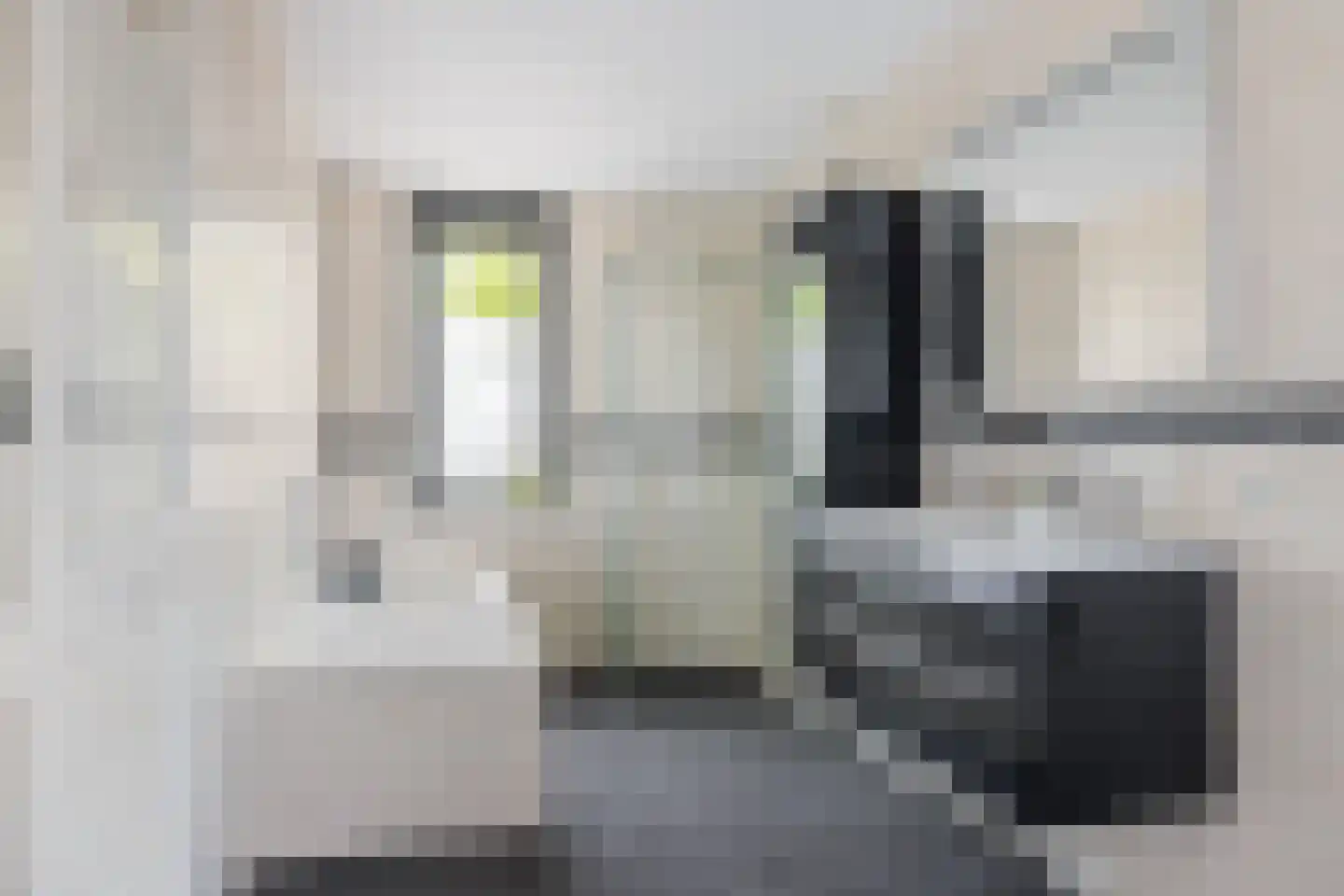 Mauritslaan 13 Heerenveen thumbnail 37
