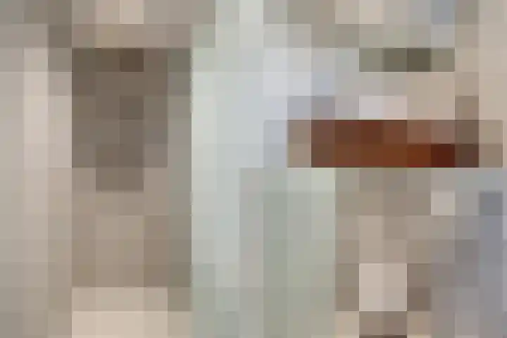 Mauritslaan 2 BV Amstelveen thumbnail 36