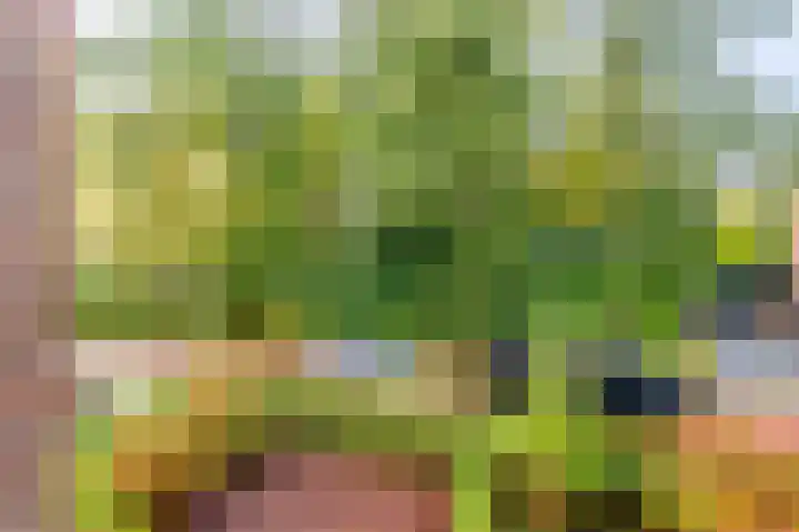 Mauritslaan 2 BV Amstelveen thumbnail 38