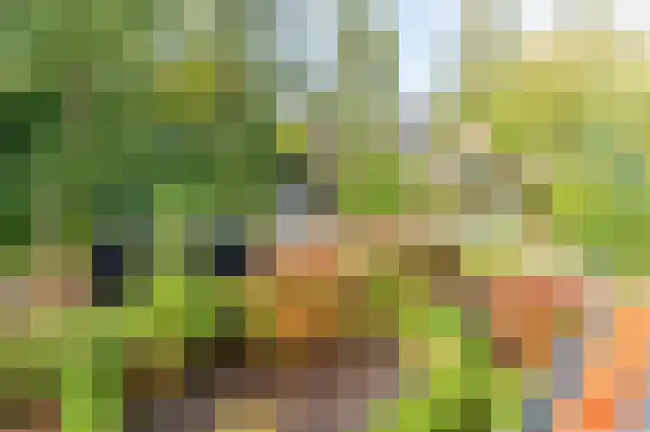Mauritslaan 2 BV Amstelveen thumbnail 39