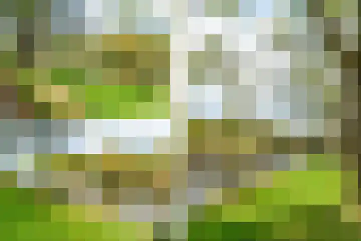 Mauritslaan 2 BV Amstelveen thumbnail 49