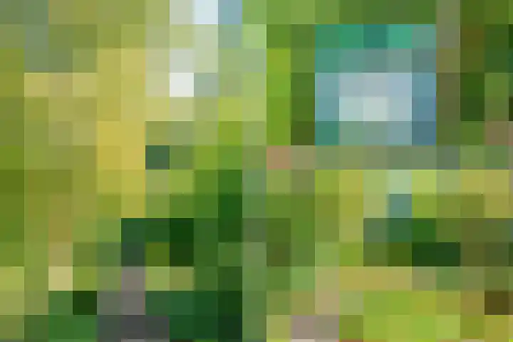 Mauritslaan 2 BV Amstelveen thumbnail 53