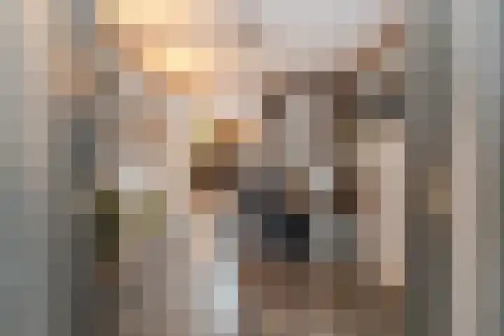 Mauritslaan 2 Urmond thumbnail 11