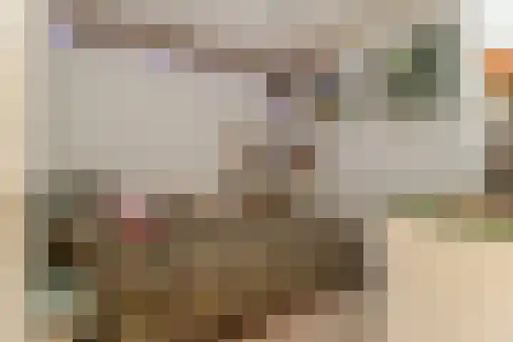 Mauritslaan 2 Urmond thumbnail 23