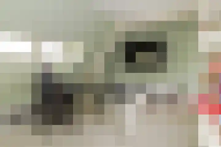 Mauritslaan 2 Urmond thumbnail 32