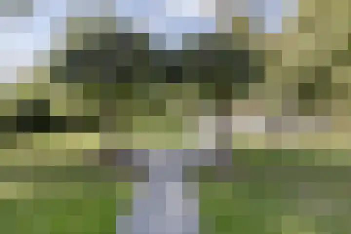 Mauritslaan 2 Urmond thumbnail 35