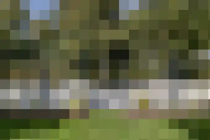 Mauritslaan 2 Urmond thumbnail 36
