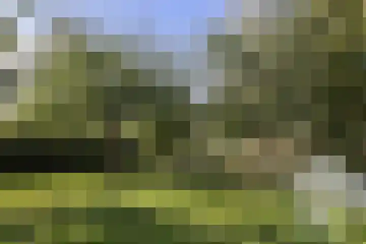 Mauritslaan 2 Urmond thumbnail 37
