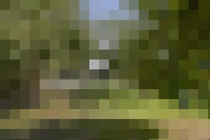 Mauritslaan 2 Urmond thumbnail 38