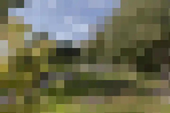 Mauritslaan 2 Urmond thumbnail 4